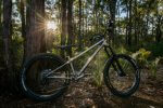 Roost-14 (1) - roost bike