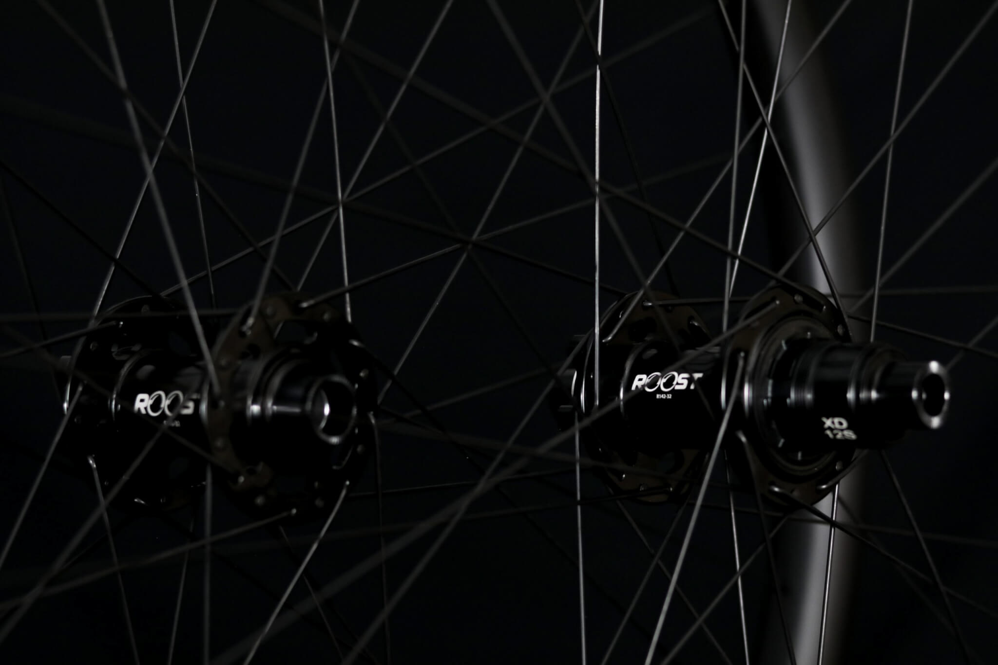 Roost hubs and carbon rims