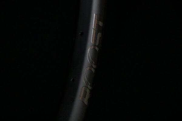 Roost Logo on Carbon Rim