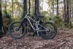 Roost-56 - roost bike